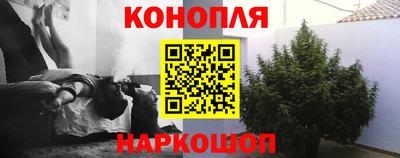 мяу мяу мука Баксан
