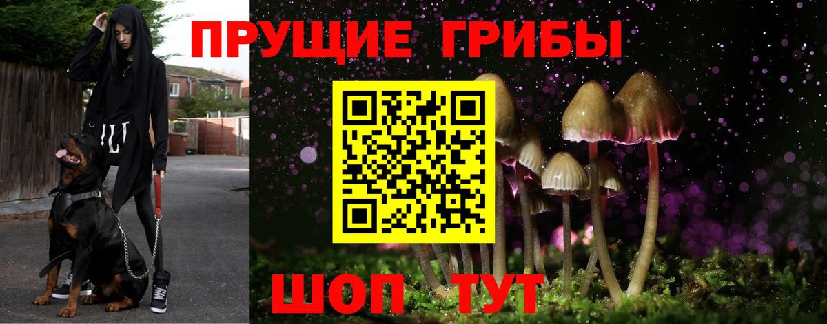Галлюциногенные грибы Magic Shrooms Ленинск-Кузнецкий